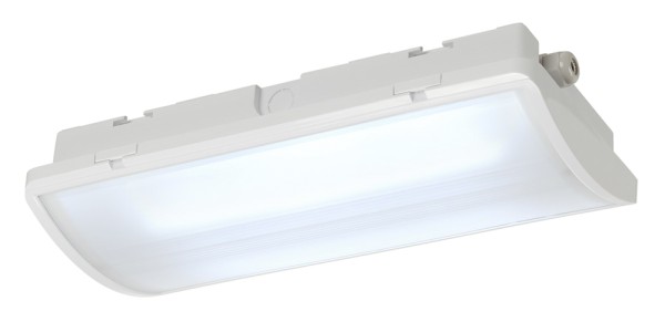 P-LIGHT, Deckenleuchte, LED, 6000K, IP65, rechteckig, weiß, 6,5W