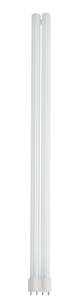 TC-L 2G11, Kompaktleuchtstofflampe, 55W, 3000K, 4-Pin, für EVG