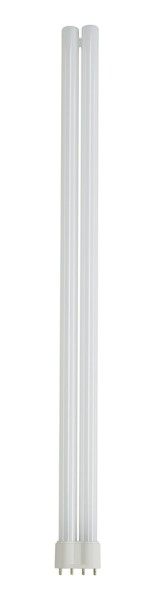 TC-L 2G11, Kompaktleuchtstofflampe, 55W, 4000K, 4-Pin, für EVG